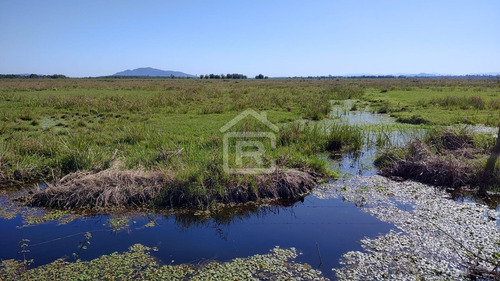 Imagem 3 de 30 de Fazenda Localizada Em Iguape- Sp Com 280 Alqueires - 262 - 71153412