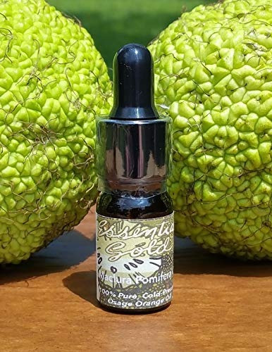 Tamano De La Muestra Maclura Pomifera Oro (tm) R Aceite Esen