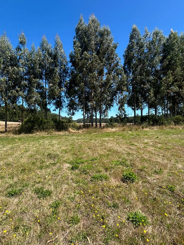 Naturaleza Y Tranquilidad En Un Solo Lugar