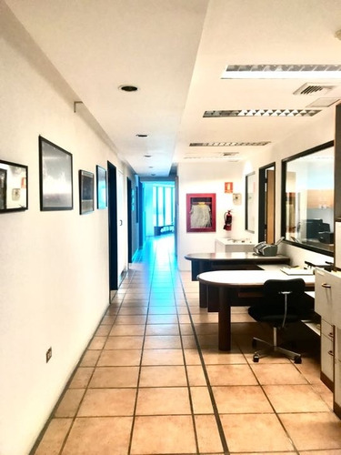 Imagen 8 de 29 de Vendo Edificio 901m2 Prados Del Este 8216