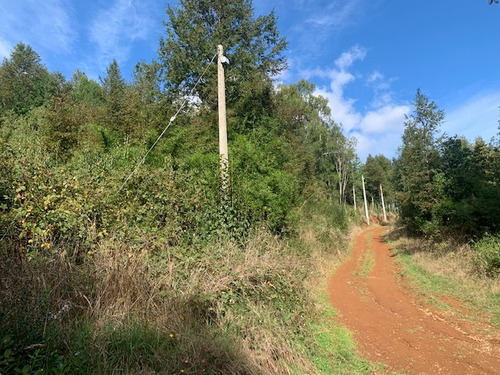 Parcela De 15 Has, A 1 Km Ruta 5 , Lipingue, Los Lagos