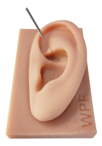 Orelha De Silicone Acupuntura Auricular - Auriculoterapia