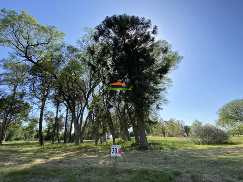 Terreno N 20 En Urbanización Parque Jousten.