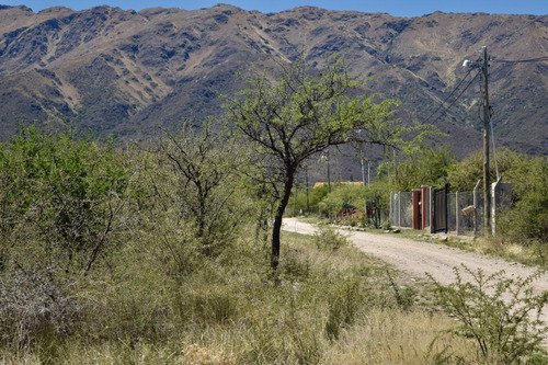 Imagen 3 de 11 de Lotes De 1000m2 En Carpinteria