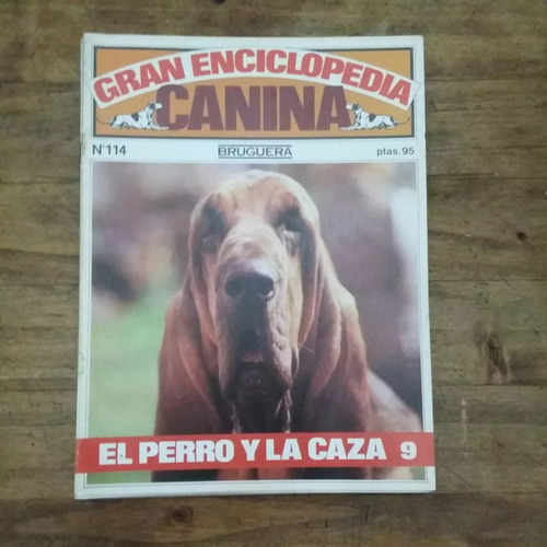 Gran Enciclopedia Canina 114 Perros De Monteria Y Rastro (60