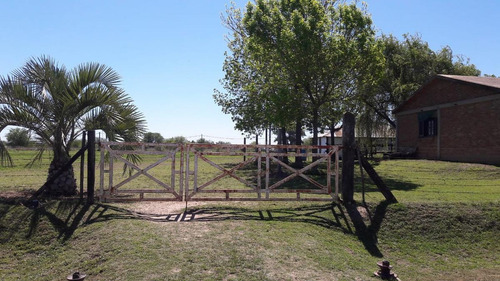 Imagen 2 de 6 de Quinta - Zavalla