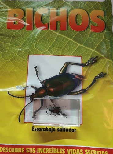 Bichos - Escarabajo Saltador  + Fascículo - Rba  