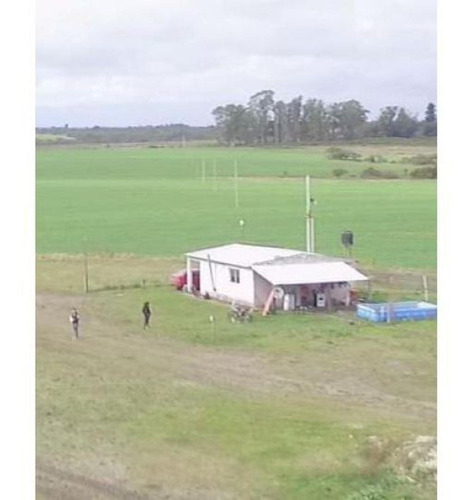 Imagen 6 de 14 de Campo En Venta En Nogoyá Entre Rios