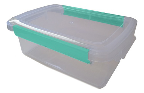 Contenedor N3 X5unid Plástico -tapa Apto Freezer Cristal