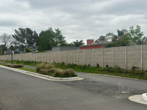 Venta Lote Financiación Avenida Olivos Y Panamericana Excelente Ubicación !!!