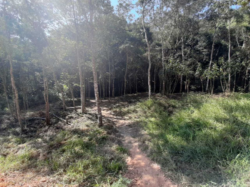 Imagem 10 de 14 de Vendo Terreno De 1000m² No Interior De Sp, Marque Sua Visita