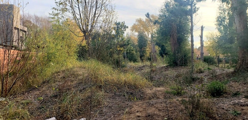 Venta Lote Terreno En San Bernardo 20 X 50 1.000 M2 Zona Residencial