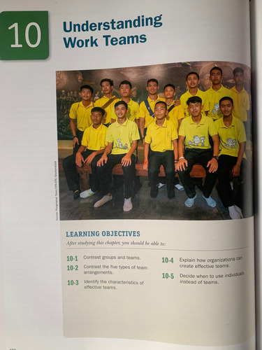 Organizational Behavior, Stephen Robbins, Timothy Judge19th