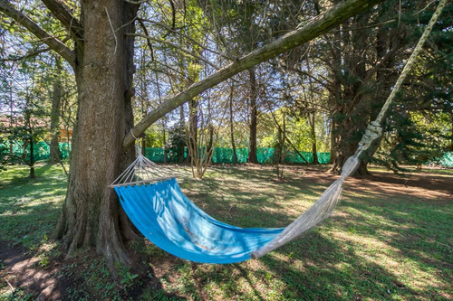 Imagen 5 de 17 de Lote En Venta En Villa Elisa