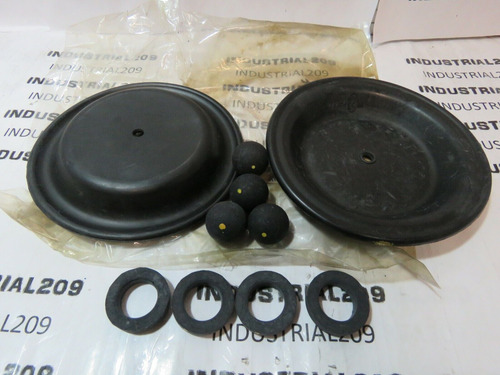 Prince Neoprene Diaphragm Pump Repair Kit 1a00 1'' 44208 Ssk