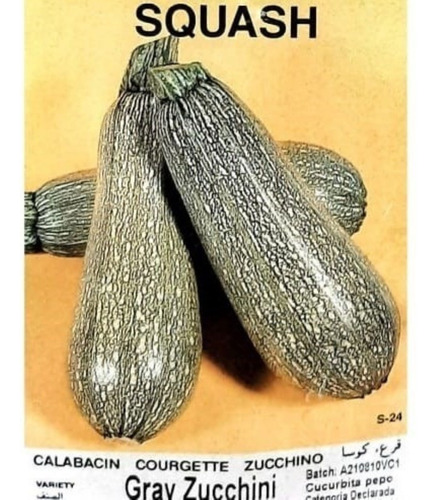 Semilla De Calabaza Grey Zuchini 1lb Bolsa Hortaliza Emerald