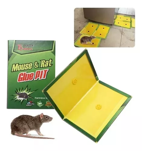Trampa Para Ratón Adhesiva Pega Atrapa Ratas Pack 5 Unidades