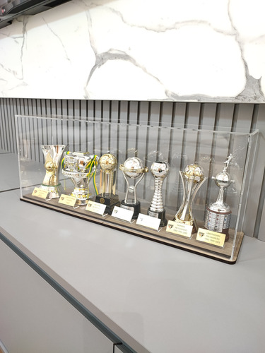 Kit 7 Troféus Miniatura 15cm São Paulo Na Caixa De Acrilico
