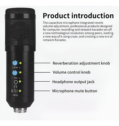 Kit Micrófono Condenser Usb Grabación Profesional Bm-858 Pc Negro