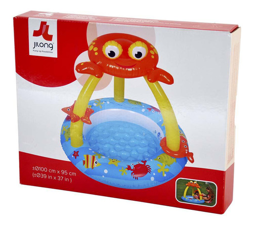 Piscina Infantil Com Cobertura Siri Divertido Dm Toys Cor Multicor