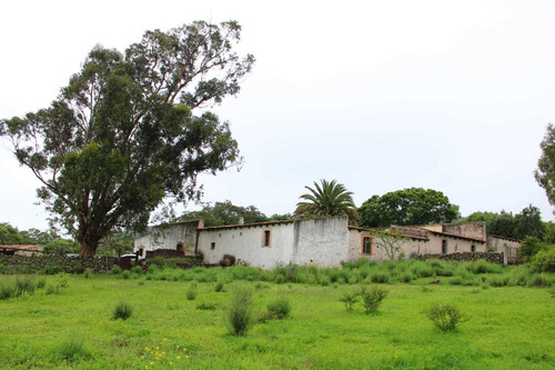 Imagen 14 de 14 de Rancho Ganadero En Venta En Nopala Hidalgo.