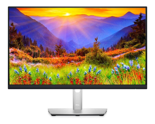 Monitor Dell Professional 24 Fhd Ips P2422h Hdmi Dp Vga Usb