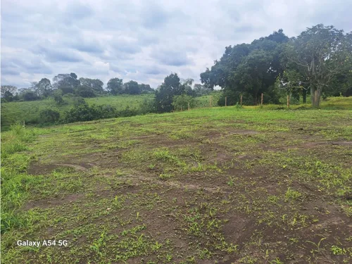 Venta Lote En Quimbaya. Quindio - Colombia Cod: 7970490