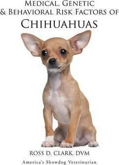 Medical, Genetic & Behavioral Risk Factors Of Chihuahuas ...