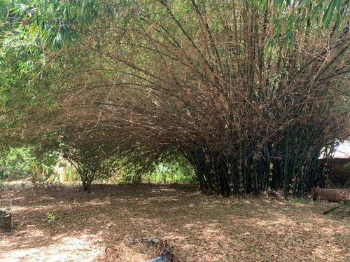 Terreno À Venda, 5200 M² Por R$ 1.700.000,00 - Lagoa Redonda - Fortaleza/ce - Te0475