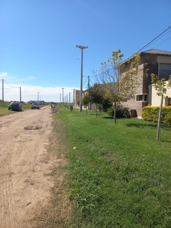 Imagen 3 de 14 de Terreno En Alvarez