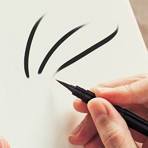 Pentel Arts Pocket Brush Pen Incluye 2 Recargas De Tinta Neg