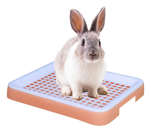 Caja De Arena Para Conejos, Cobayas, Arenero Para Hurones,