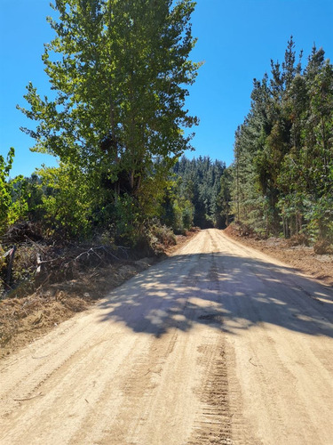 Parcelas En Puertecillo A 15 Minutos Playa Cerca Negocios