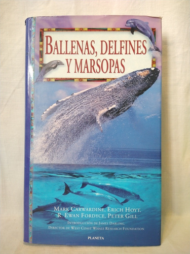 Ballenas, Delfines Y Marsopas - M. Carwardine - Planeta