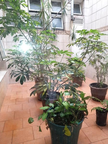 Excelente Lote Propio En Venta O Alquiler En San Telmo. Apto Todos Los Rubros
