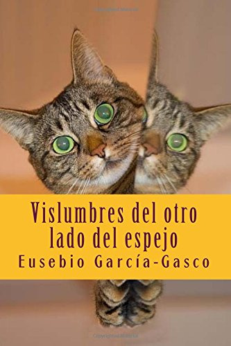 Vislumbres Del Otro Lado Del Espejo: Otra Forma De Ver La Vi