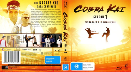 Cobra Kai Serie Completa Bluray. 5 Temp. 10 Discos. Latino!