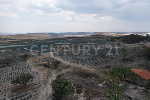 En Venta!!! Terreno Ubicado En Josefino De Allende, Jalisco.