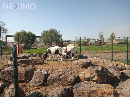 Imagen 10 de 11 de Venta De Terreno Fraccionamiento Biogrand Juriquilla