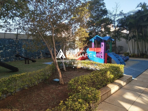 Imagem 25 de 29 de Apartamento - Ap000332 - 68388284