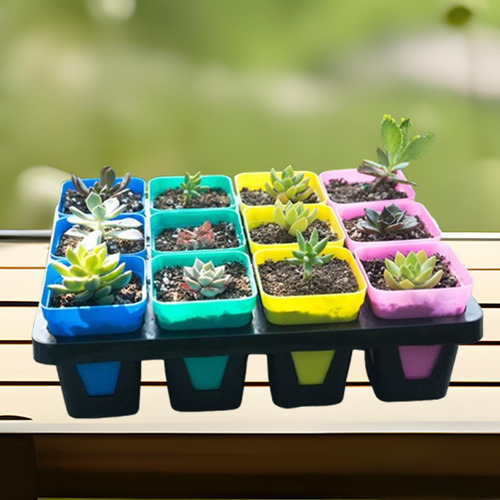 Bandeja Para Macetas De Vivero, Soporte Pequeño 12 Celdas