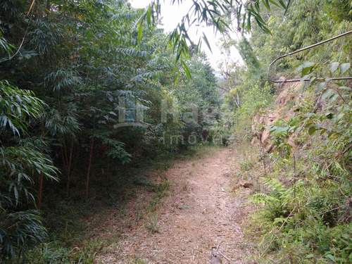 Sítio A Venda Em Rio Dos Cedros/sc - 1742