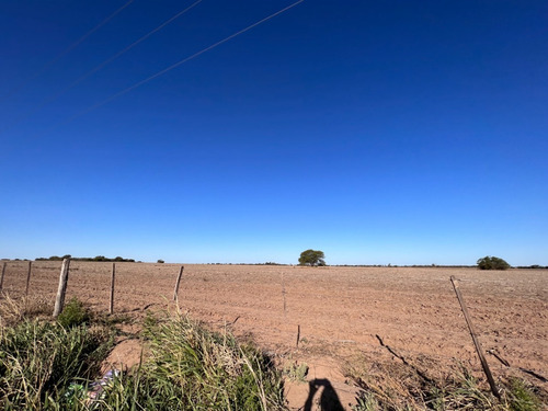 Imagen 7 de 13 de Campo Agricola En Venta , Zona Camino Capilla De Los Remedios Y Ruta 9 Sur , Cordoba , Argentina