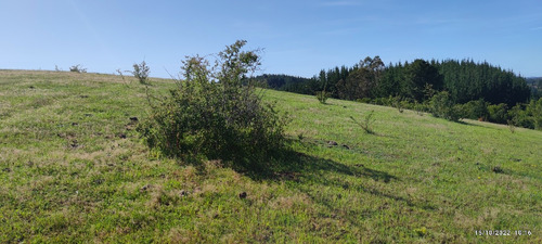 Se Venden Terrenos Sector El Maiten, Camino A Cabrero