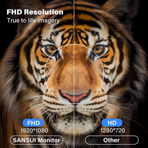 Monitor Ips 22 Full Hd 75hz Hdmi Vga Ultra Delgado Vesa 178