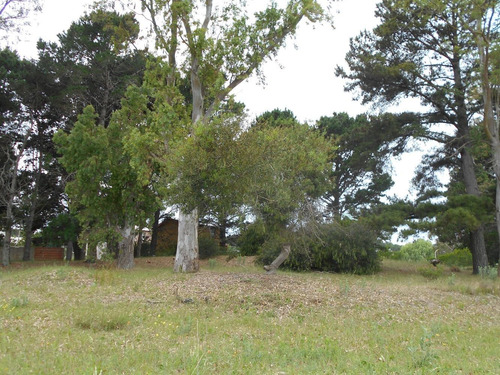Imagen 2 de 5 de Lote Nueva Atlantis: Av. Chascomús Entre Diag. Libertad Y Storni - B511