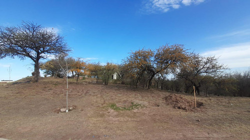 Terreno En El Terrón