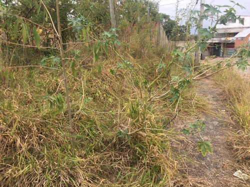 Imagem 4 de 11 de Lote Para Venda Em Ribeirão Das Neves, Rosaneves - L25_1-1358691