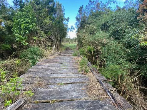 Venta Parcela En Puelo. (75308)