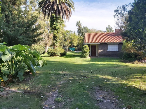 Imagen 8 de 21 de Se Vende Casa En Roldan 2500 M2 Terreno.